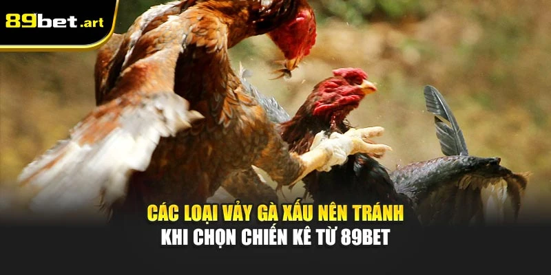 Các Loại Vảy Gà Xấu Nên Tránh Khi Chọn Chiến Kê Từ 89Bet