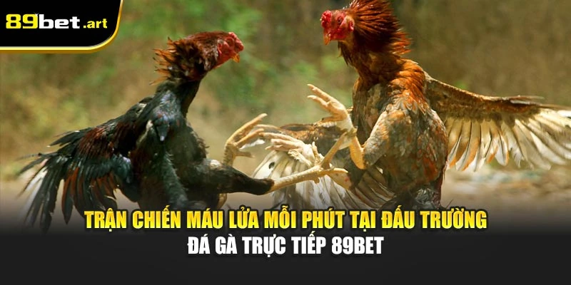 Đá Gà 89Bet - Trận Đấu Đỉnh Cao, Thắng Lớn Mỗi Ngày